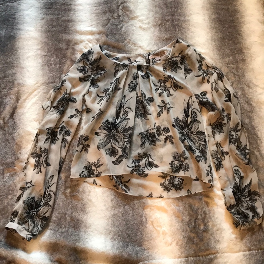 Sheer Long-Sleeve Crop Top